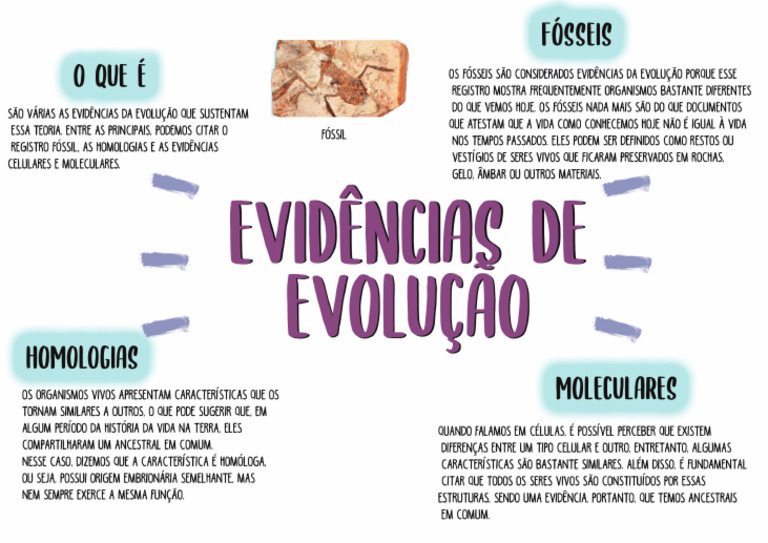 Mapa Mental Evidências de Evolução | PDF