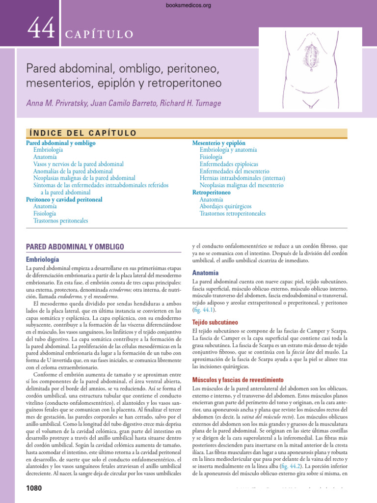 Sabiston Tratado de Cirugia 21a Edicion Pared Abdominal | PDF | Abdomen ...