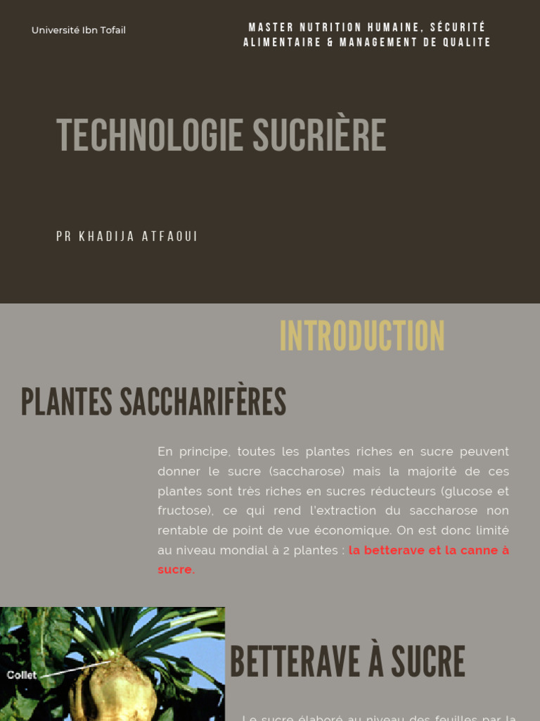 Fabrication du Sucre de Betterave | PDF | Chaux | Betterave sucrière
