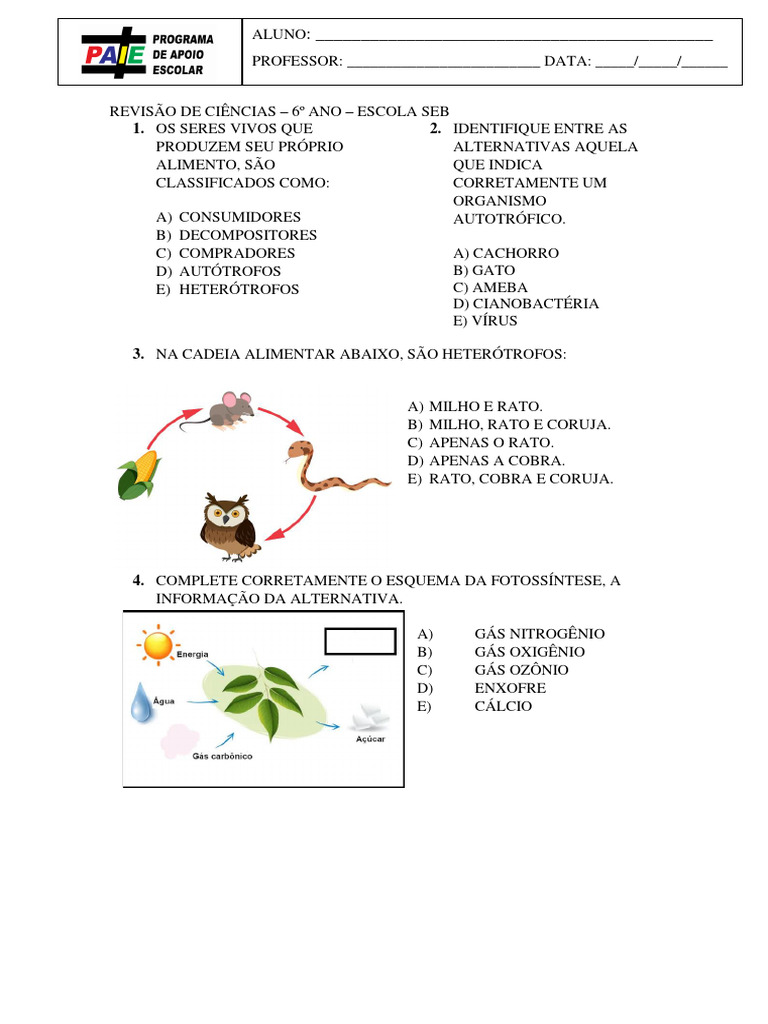 Revisão Aot 1ciências - 6 Ano | PDF | Fermentação | Respiração celular
