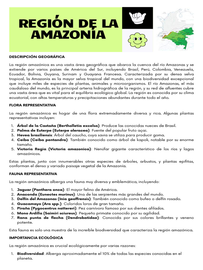 Importancia y biodiversidad de la Amazonía | PDF | Selva amazónica ...