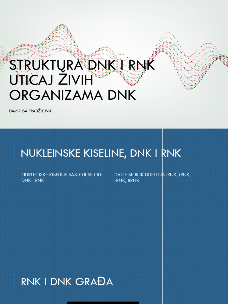 STRUKTURA DNK I RNK | PDF
