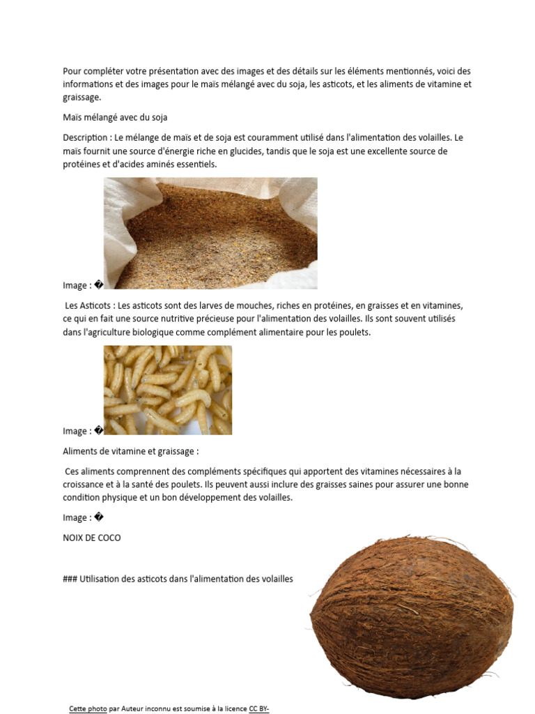 Poulet Bio Recherche Sur Le Projet | PDF | Manger | Vitamine
