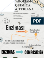 UNIDAD 3  METABOLISMO Y QUIMICA BACTERIANA (1)