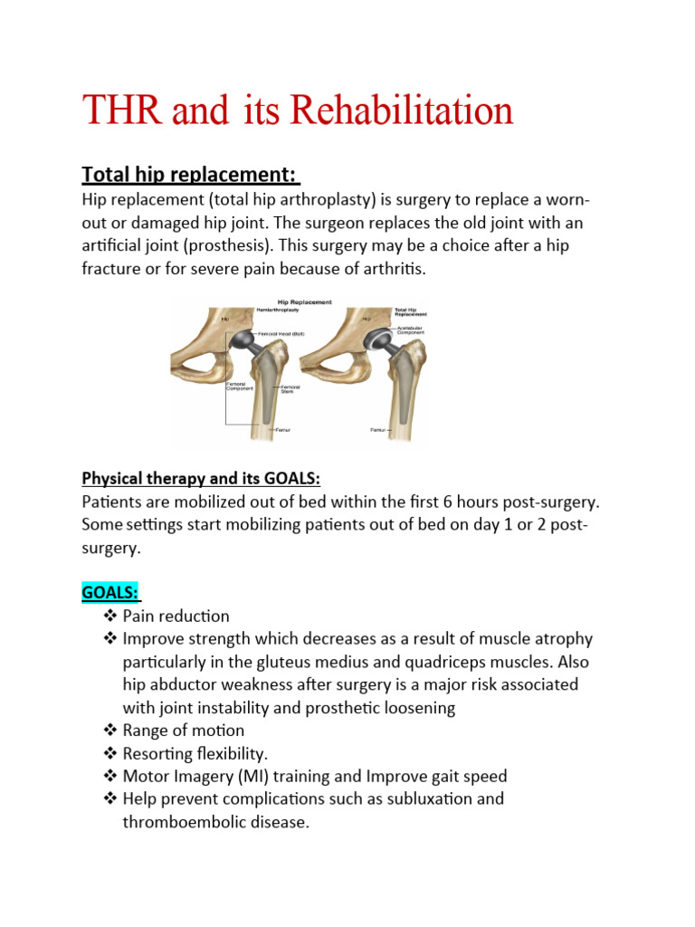 Total Hip Replacement Rehabilitation Guide | PDF | Knee | Anatomical ...