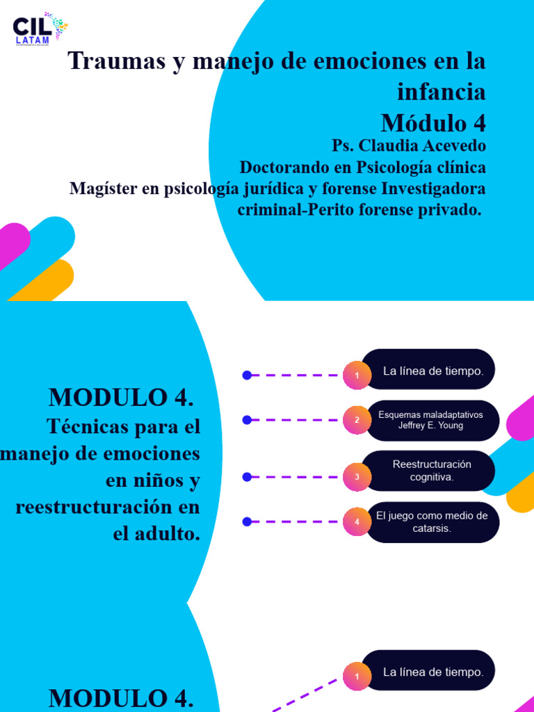 Modulo 4 - Tecnicas | PDF | Las emociones | Adultos