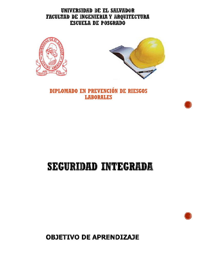seguridad-integrada-pdf-business-economias