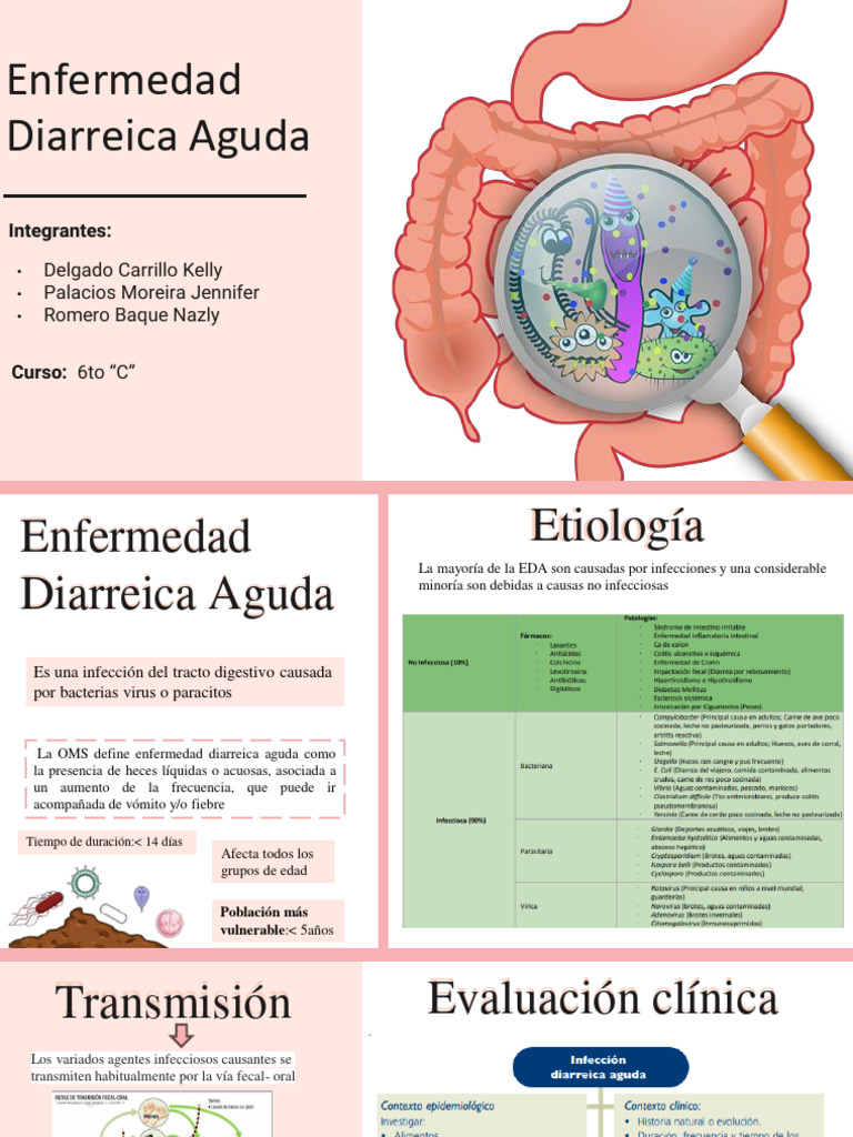 Tratamiento de Enfermedad Diarreica Aguda | PDF | Diarrea | Salud pública