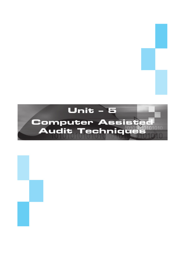 Introduction to Computer Assisted Audit Techniques | PDF | Audit ...