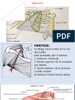 region axilar