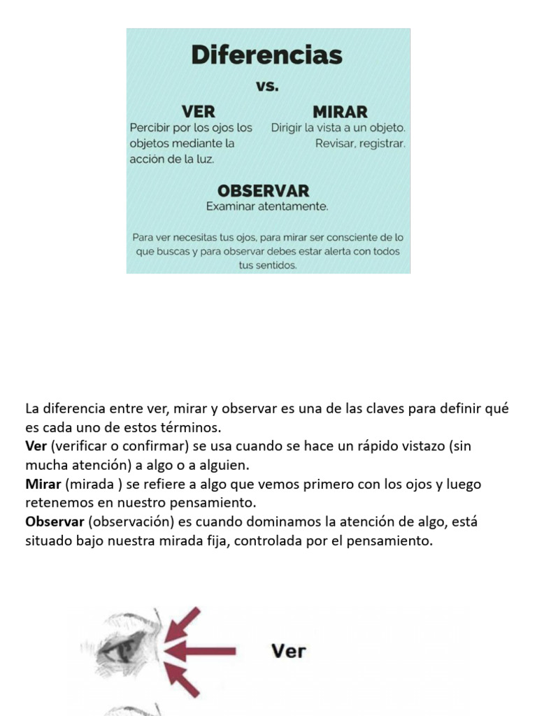 Ver Mirar Observar | PDF