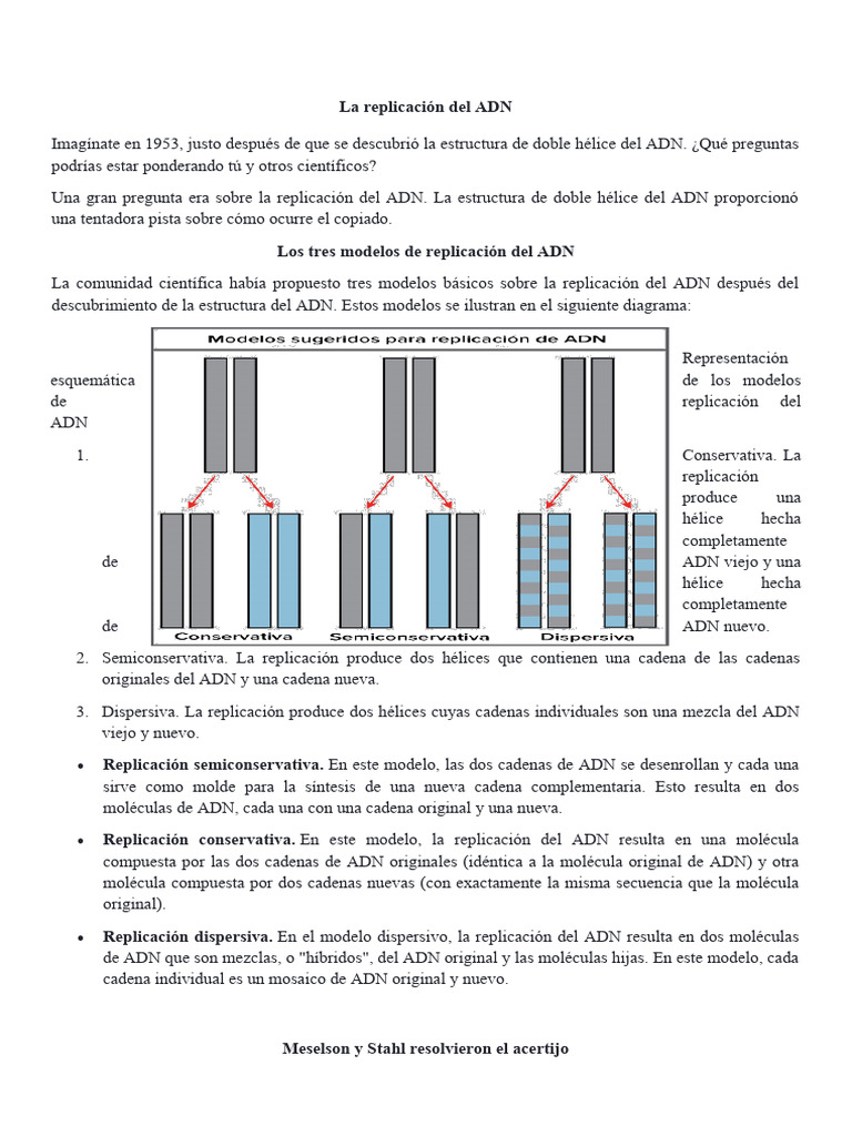 La Replicacion Del ADN | PDF | Replicación De Adn | Adn