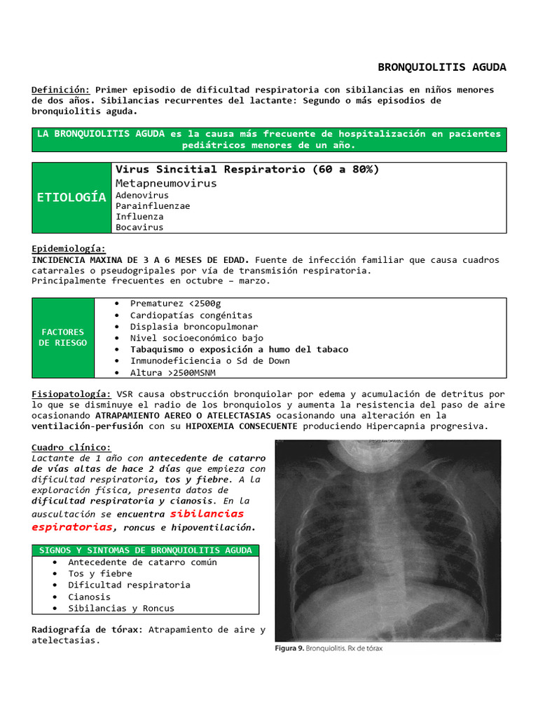 Bronquiolitis Aguda | PDF | Enfermedades y trastornos | Microbiología