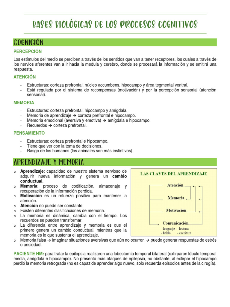 Bases Biologicas de Los Procesos Cognitivos | PDF | Sinapsis | La ...
