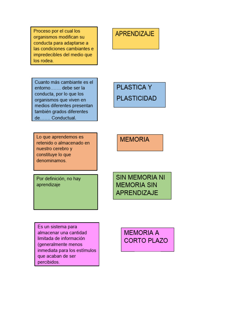 Adaptación y Tipos de Memoria en Aprendizaje | PDF | Memoria | Aprendizaje