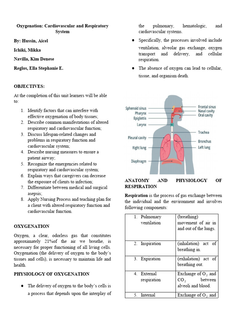 Cardio and Respi | PDF | Respiratory Tract | Breathing