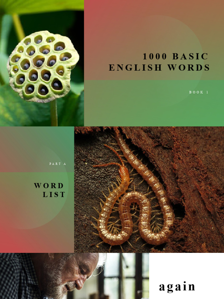 Basic English Words for Daily Use | PDF | Verb | Adjective