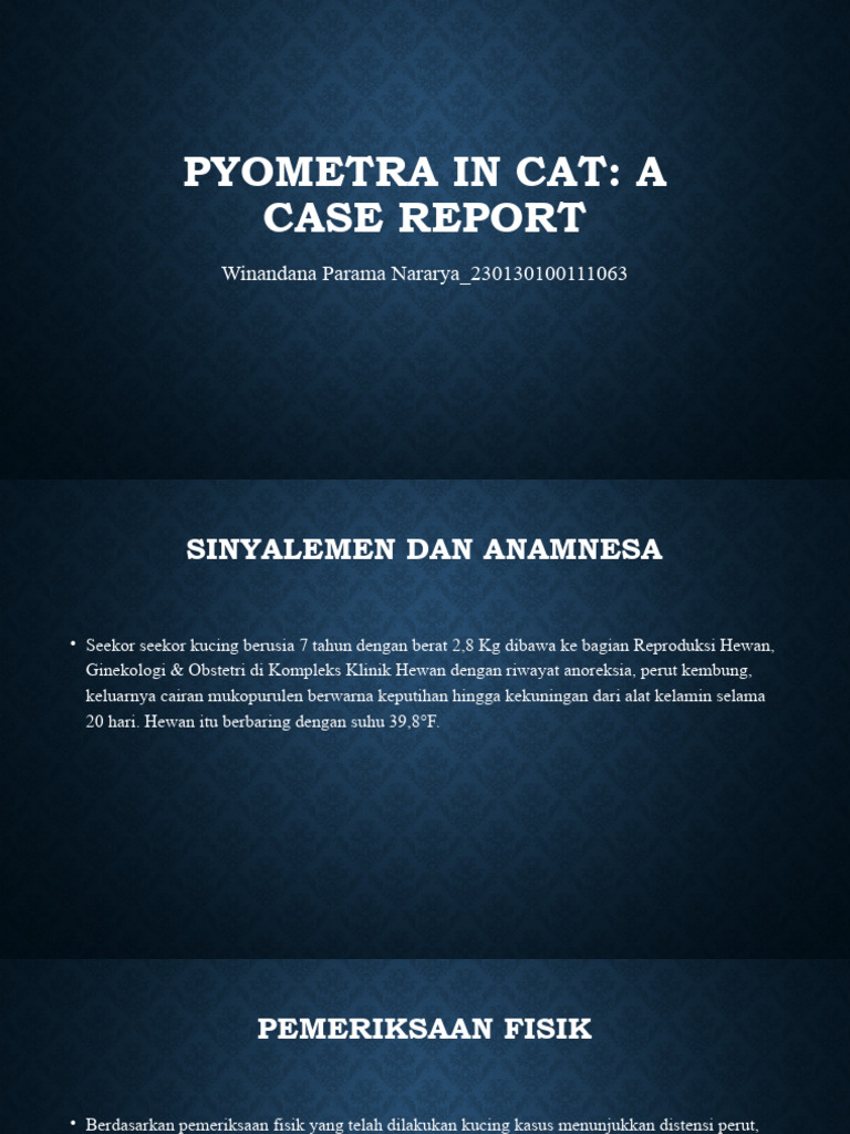 Kasus Pyometra pada Kucing 7 Tahun | PDF | Sains & Matematika