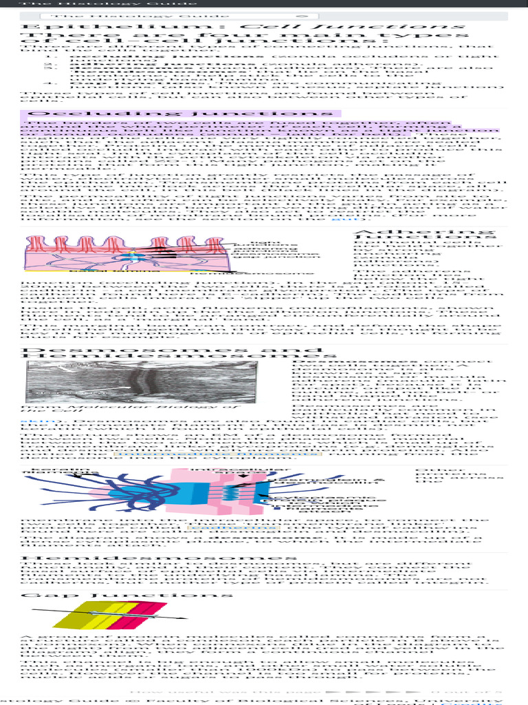 Epithelia The Histology Guide | PDF | Epithelium | Cell Membrane
