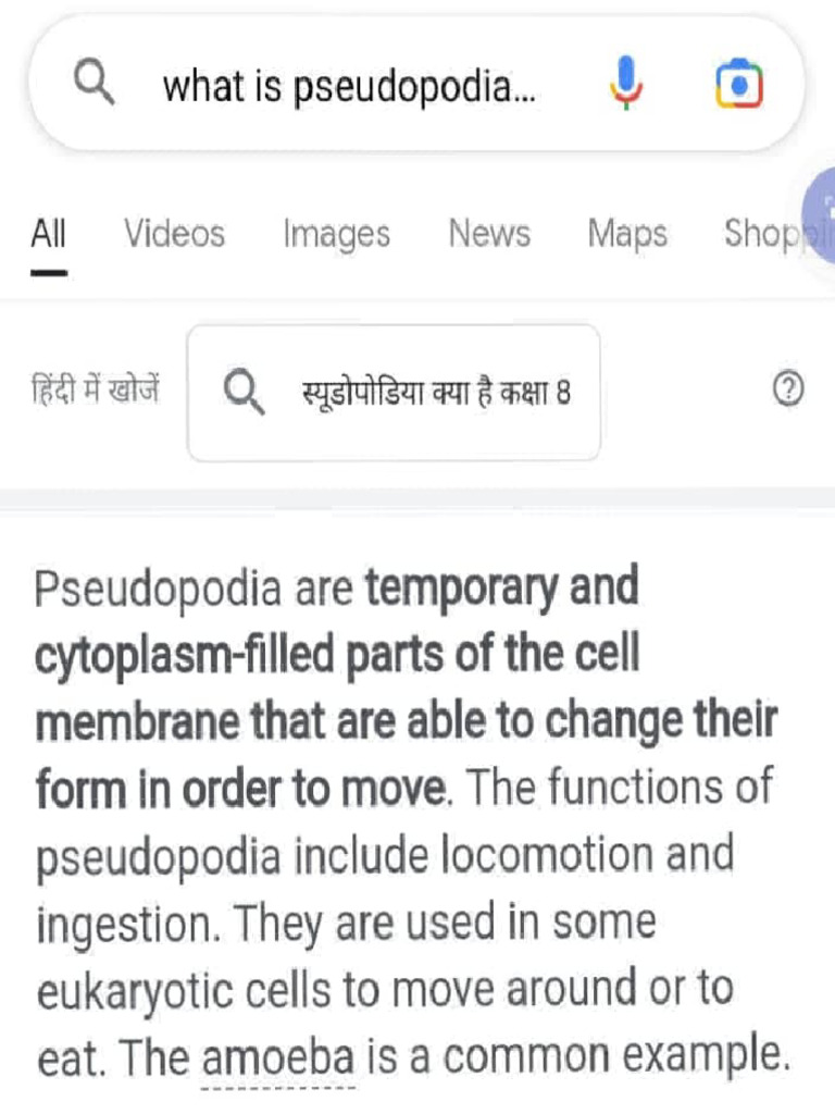 Functions of Pseudopodia Explained | PDF | Cell (Biology) | Eukaryotes