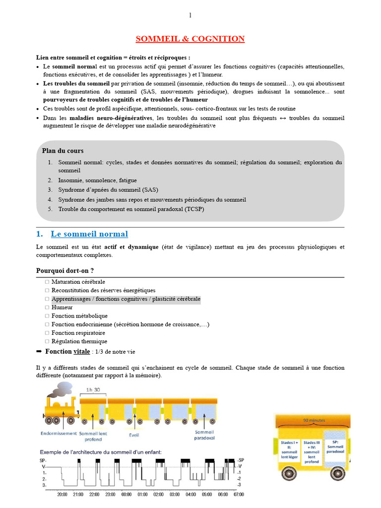 Sommeil et Cognition : Liens Essentiels | PDF | Sommeil | Syndrome d ...