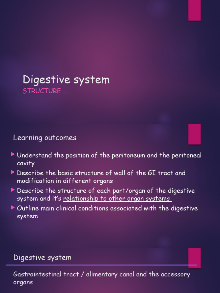 Digestive System - Part 1 | PDF | Stomach | Human Digestive System