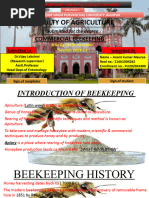Urban Beekeeping Practices Guide | PDF | Beehive | Beekeeping