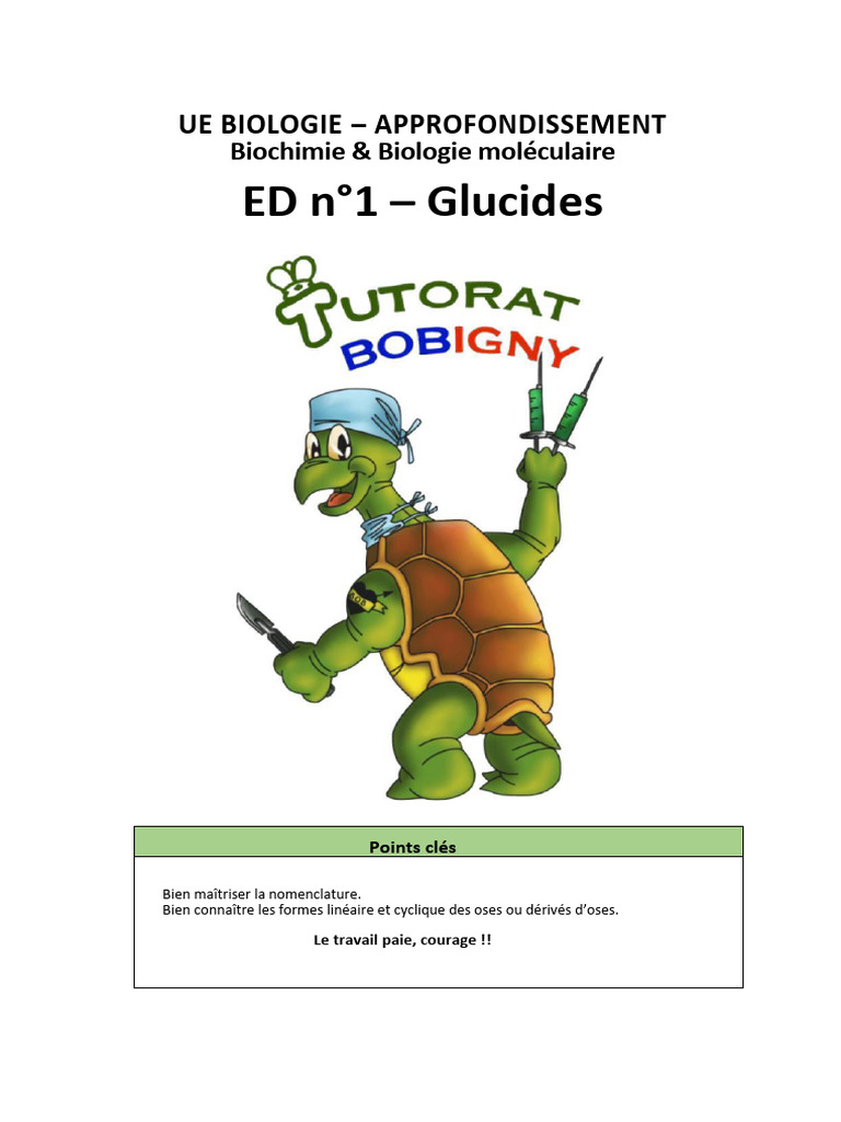 ED Glucides | PDF | Glucide | Glucose