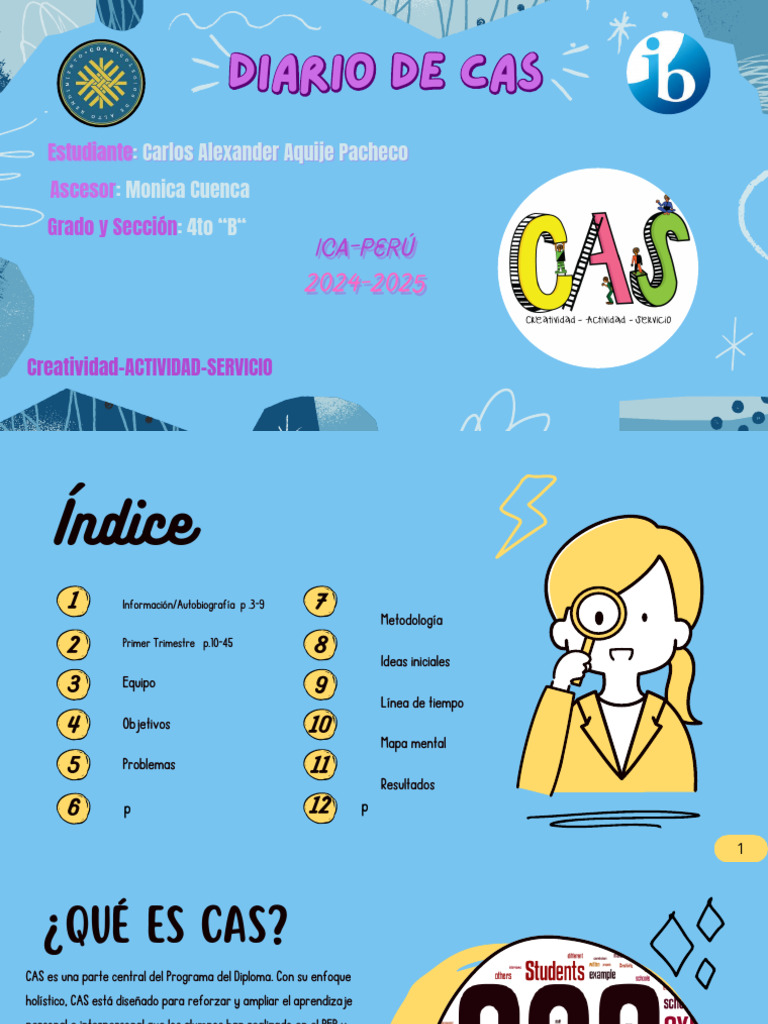 Diario de CAS | PDF | Aprendizaje | Evaluación