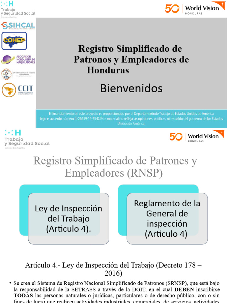 RNSP - Virtual | PDF