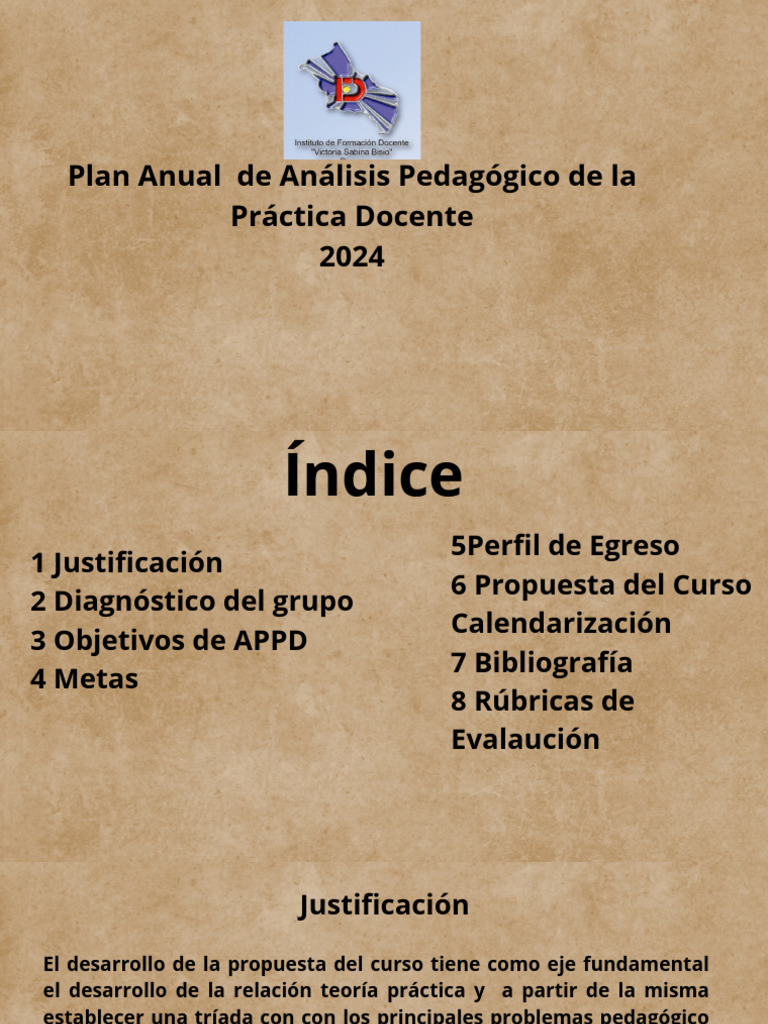 Plan Anual de Análisis Pedagógico 2024 | PDF | Maestros | Plan de estudios