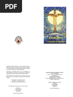 A Santa Missa - Testemunho de Catalina Rivas