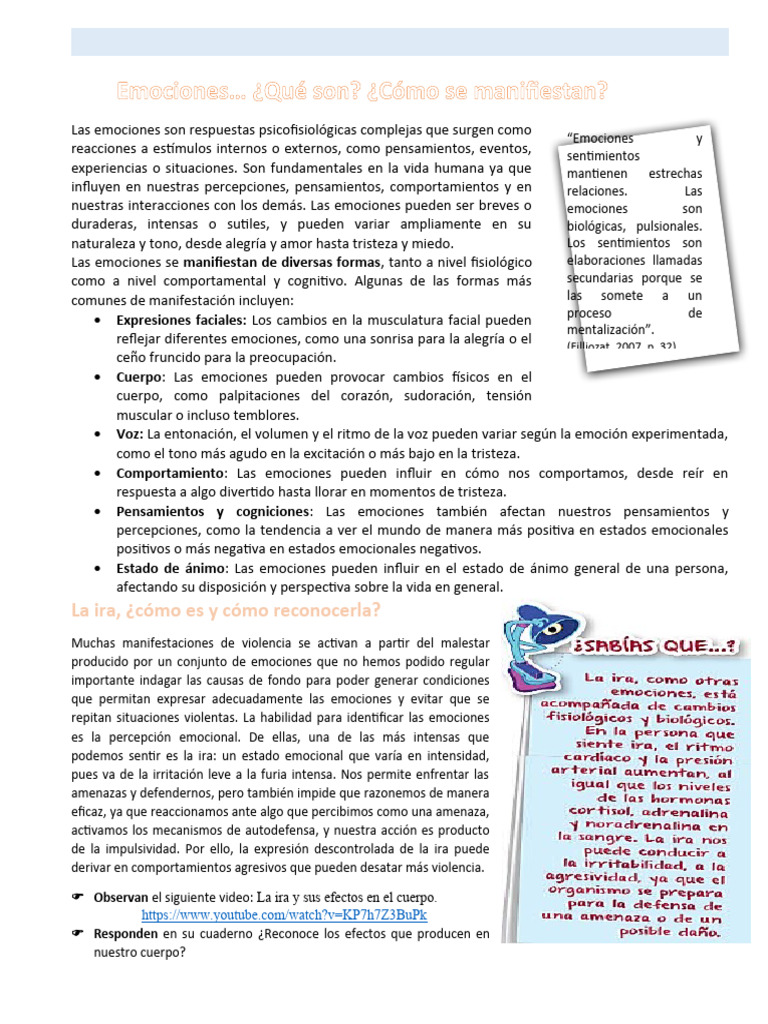 Emociones y prevención de la violencia | PDF | Las emociones | Ira