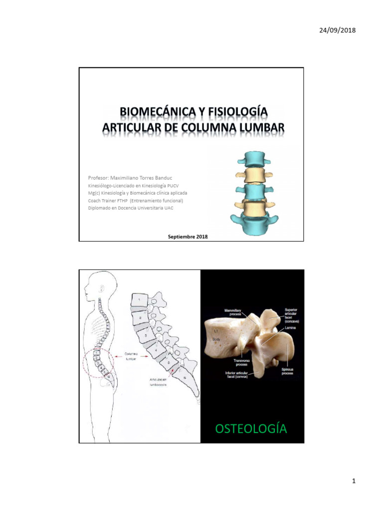 Osteología y Biomecánica Lumbar | PDF | La columna vertebral | Anatomía