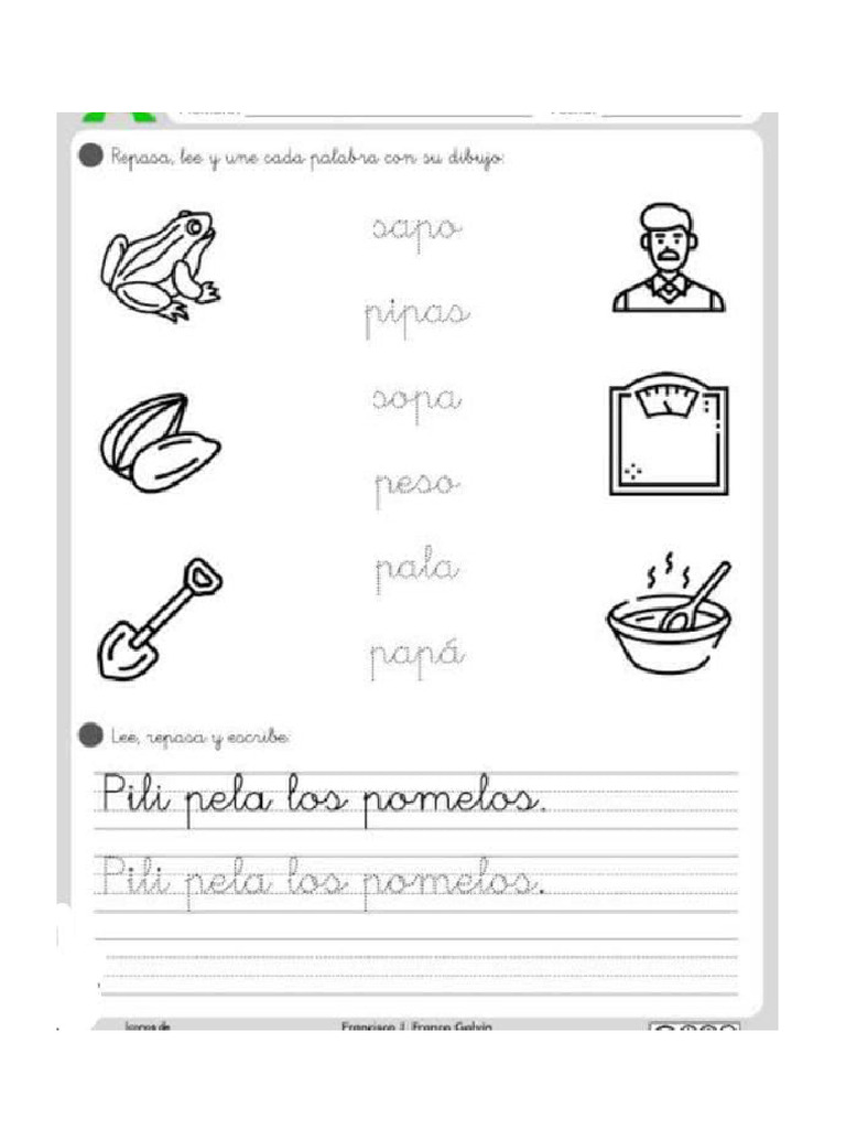 5 Años | PDF