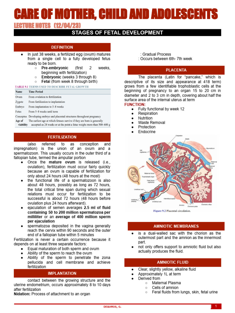 Fetal Development Stages Overview | PDF | Fetus | Prenatal Development