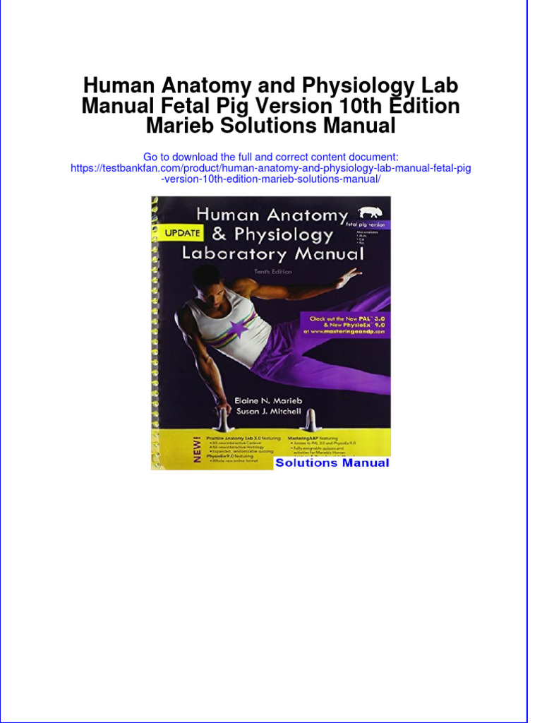 Instant download pdf Human Anatomy and Physiology Lab Manual Fetal Pig