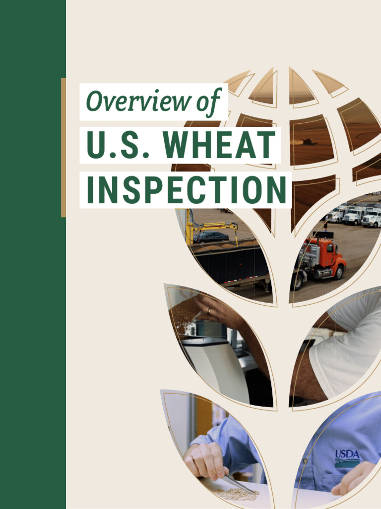 Overview of U.S. Wheat Inspection | PDF | Weighing Scale | Cereals