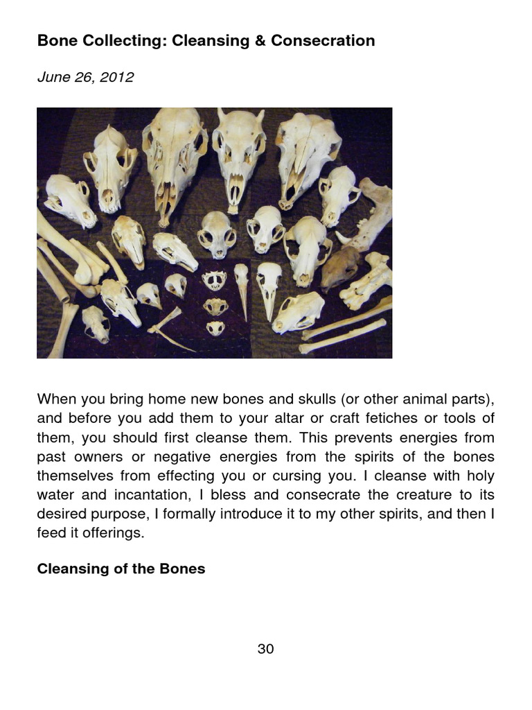 Cleansing and Consecrating Bones | PDF