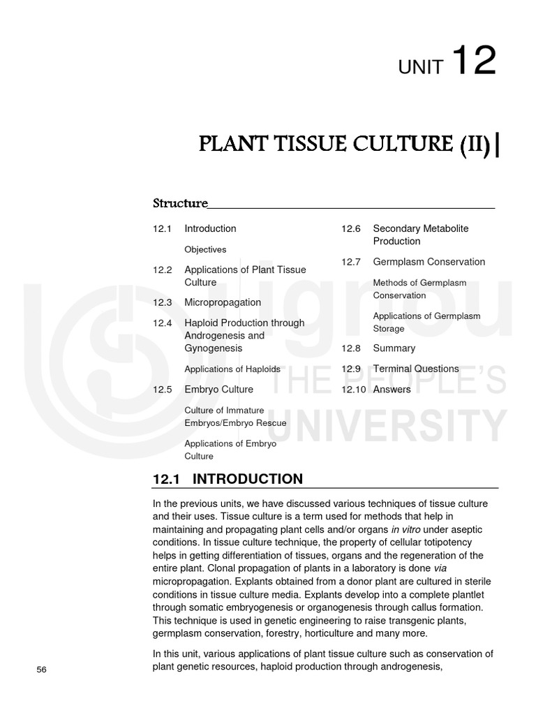 Plant Tissue Culture Techniques and Applications | PDF | Seed | Ploidy