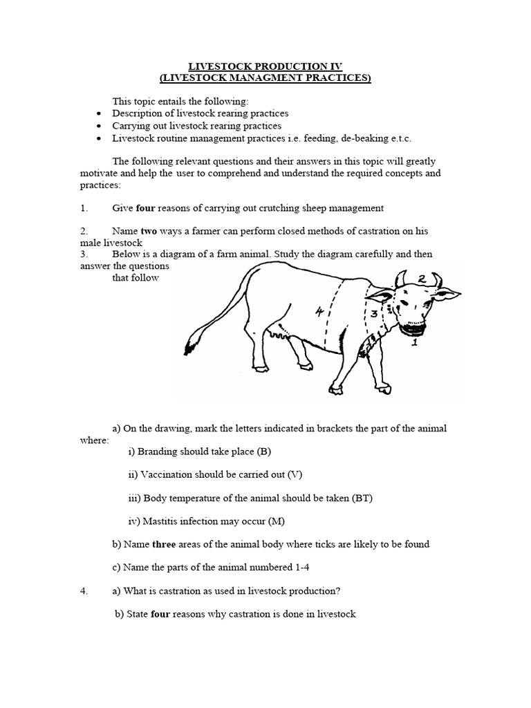 Livestock visual data 6