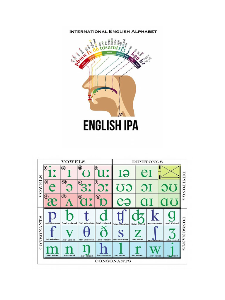 Phonetics | PDF