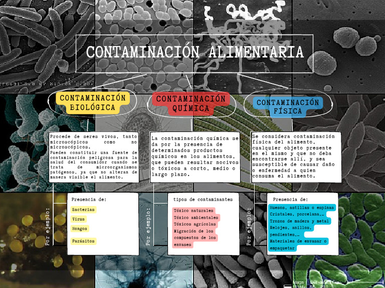 Mapa Sobre La Contaminación Alimentaria | PDF | Alimentos | Contaminación