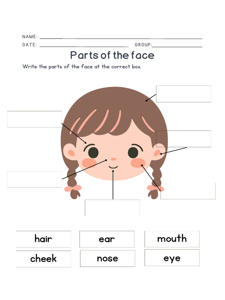 Parts of The Face Worksheet | PDF