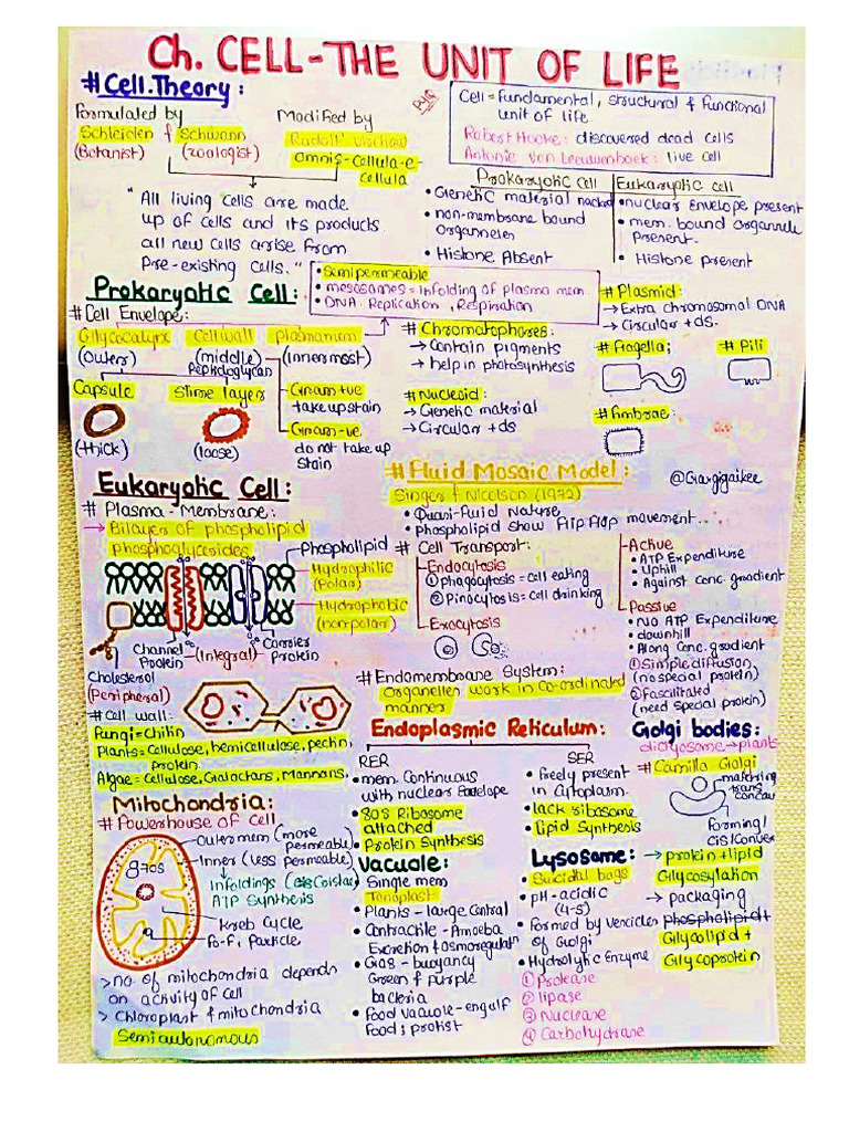 CELL The Unit of Life Class 11th Chapter 8 | PDF