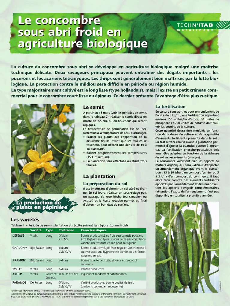 Culture du concombre sous abri bio | PDF | Agriculture biologique ...