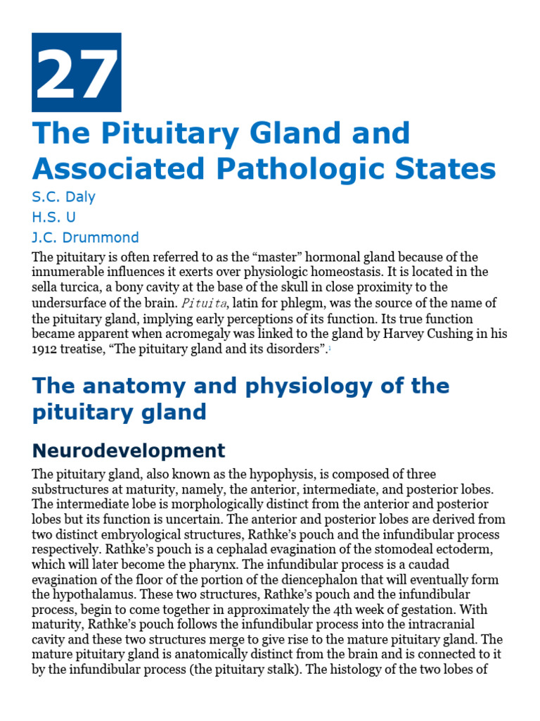 Pituitary Gland Anatomy Overview | PDF | Pituitary Gland | Endocrine System