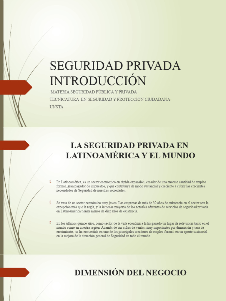 Marketing en Seguridad Privada 2024 | PDF | America latina | Demanda