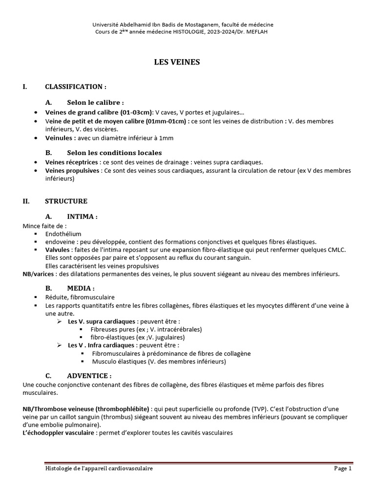Histologie des veines : structure et classification | PDF | Veine ...
