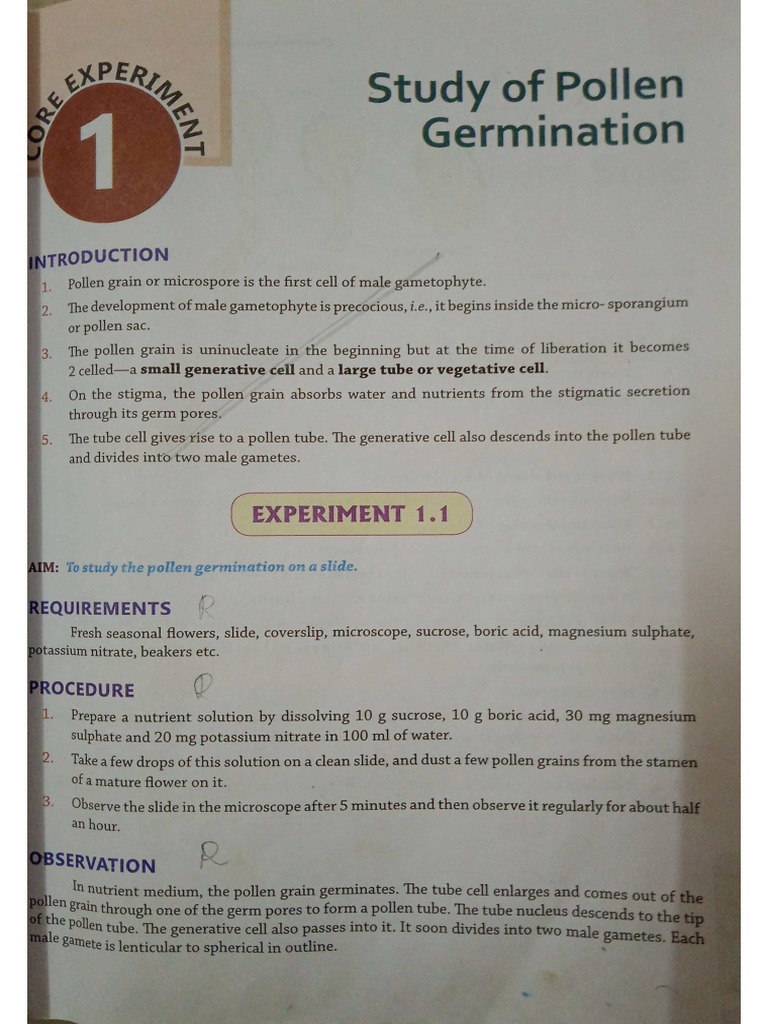 Experiment 2 | PDF